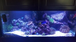 20160616_131616.jpg