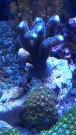 20151228_101302_resized.jpg