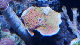 20151227_205340.jpg