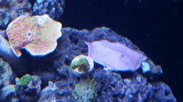 20151227_205425.jpg