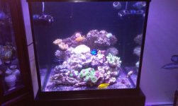 28 gal. cube.jpg