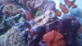 20151228_161407.jpg