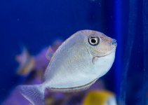 IMG_6261.jpg