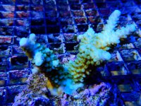 DSCN3961.jpg