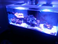 20150705_092147.jpg