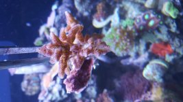 20151229_130147.jpg