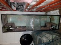 20160408_093243.jpg