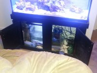 sump2.jpg