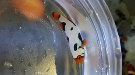 20151008_204829.jpg