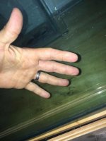 IMG_5075.jpg