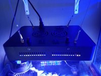 20160618_114721.jpg