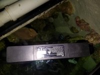 20160916_192042.jpg