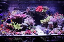 FTS2.jpg