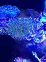 IMG_5951.jpg