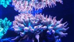 20160615_224041.jpg