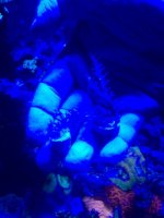 IMG_5954.jpg