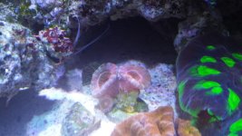 20160210_162132.jpg