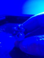 IMG_5955.jpg