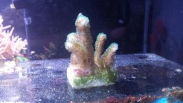 20160210_162039.jpg