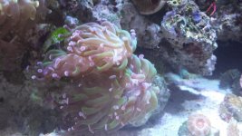 20160210_162327.jpg