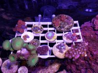 20160406_160104.jpg