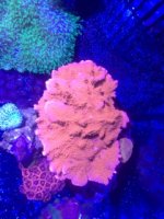 IMG_5961.jpg