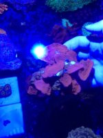 IMG_5963.jpg