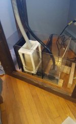 VZM.IMG_20160619_112423.jpg