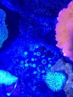 IMG_5965.jpg