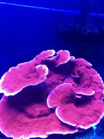 IMG_6065 (2).jpg