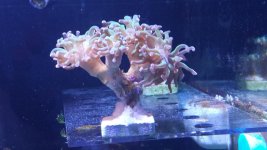 20160212_154053.jpg