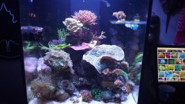 20160212_164427.jpg