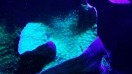 20160409_144905.jpg