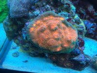 IMG_2398.jpg