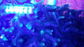 20160323_194101.jpg