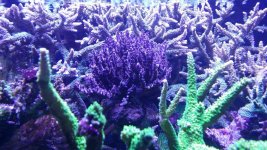 20160409_200707.jpg