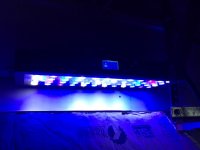 led light1.JPG
