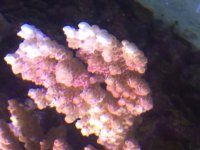 IMG_2510.jpg
