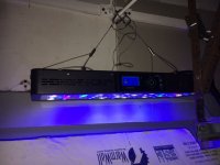 led light2.JPG