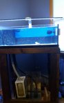 VZM.IMG_20160614_141551.jpg
