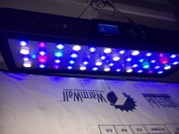 led light3.JPG