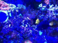 IMG_0226.jpg IMG_0226.jpg