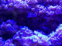 IMG_0399.jpg