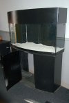 75 gallon bow front saltwater or fresh water aquarium ,filter,lamps, oceanic.jpg