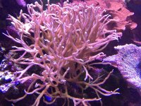 IMG_2675.jpg