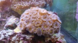 20160206_150646.jpg