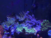 IMG_2687.jpg