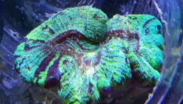 20160213_140033-1.jpg