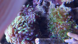 20160213_163329.jpg