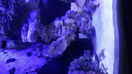 20160408_165539_resized.jpg
